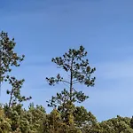 公寓 Guestready - Nature And Tranquillity In Madeira 加乌拉