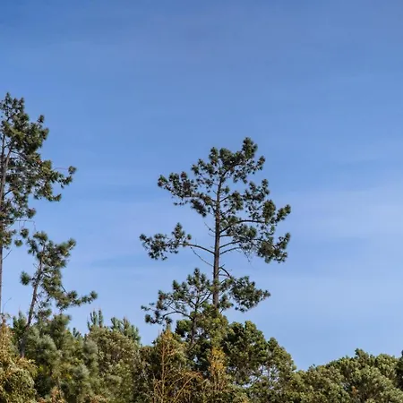 Apartament Guestready - Nature And Tranquillity In Madeira Gaula