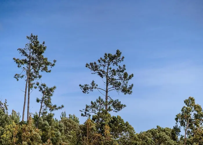 شقة Guestready - Nature And Tranquillity In Madeira Gaula